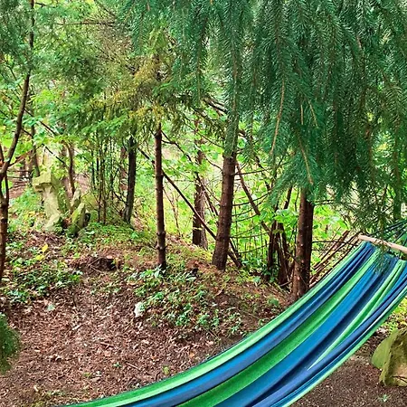 алексік Hotel