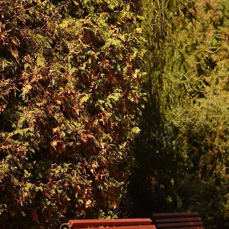 Hotel алексік