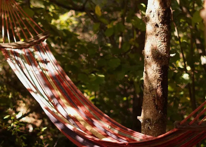 алексік * Трускавец