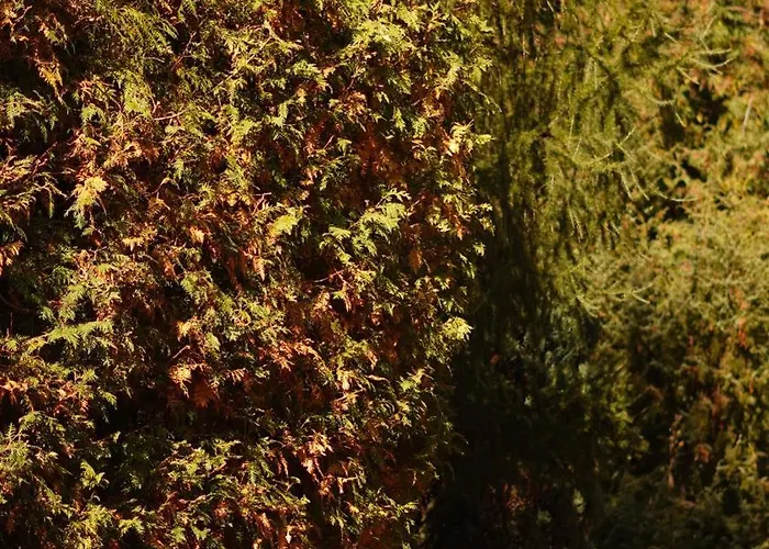 Отель алексік